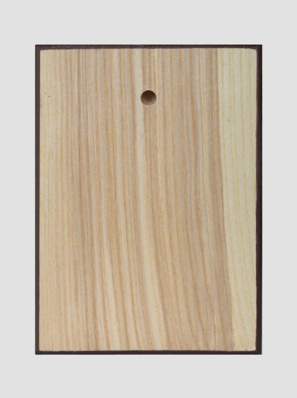 Св. Николай Мирликийский Чудотворец задняя стенка