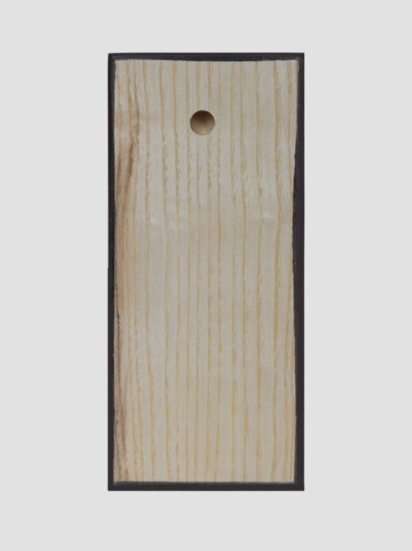 Св. Закхей Мытарь, апостол от 70-ти (М.Шешуков) задняя стенка